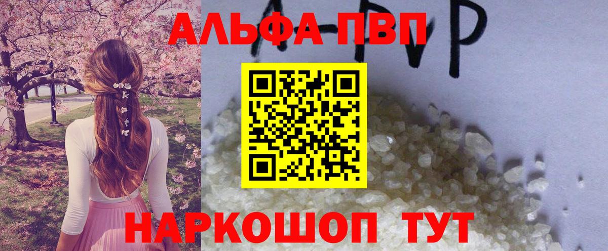 APVP СК Долгопрудный