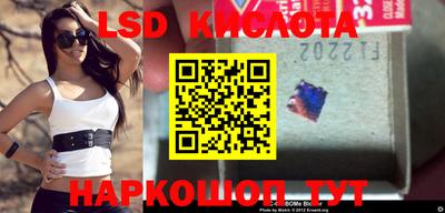 молекула духа Гатчина