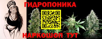ешки Гай