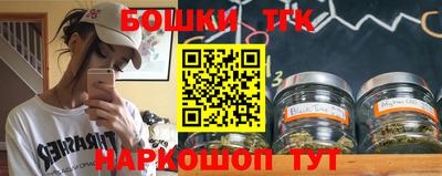 молекула духа Гатчина