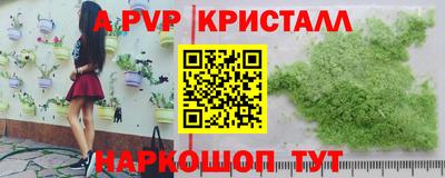 ешки Гай