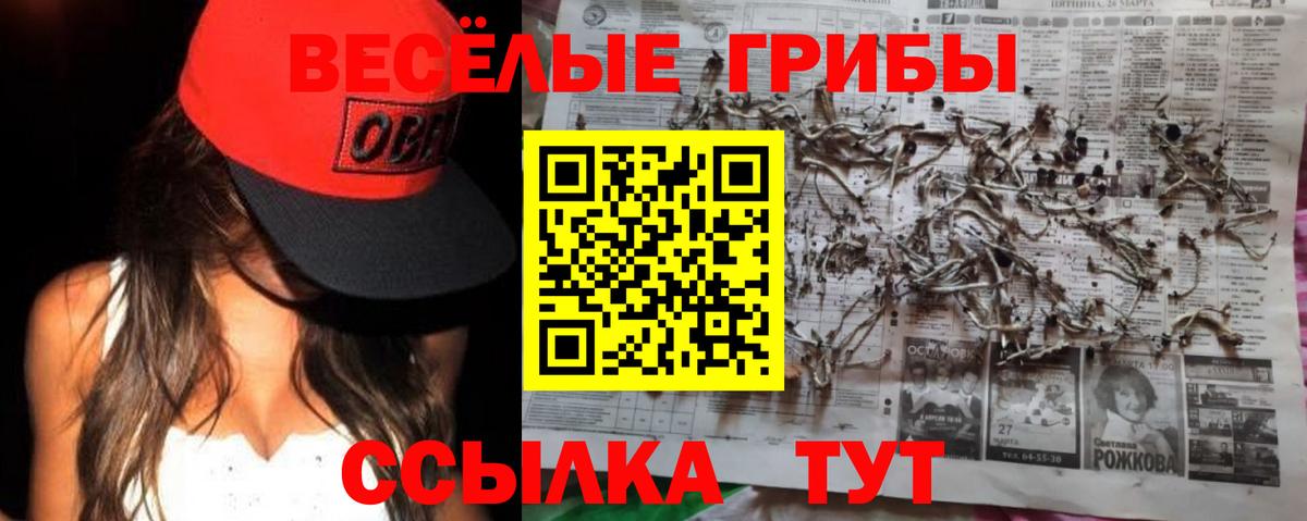 Псилоцибиновые грибы ЛСД  Вход с VPN  Долгопрудный 
